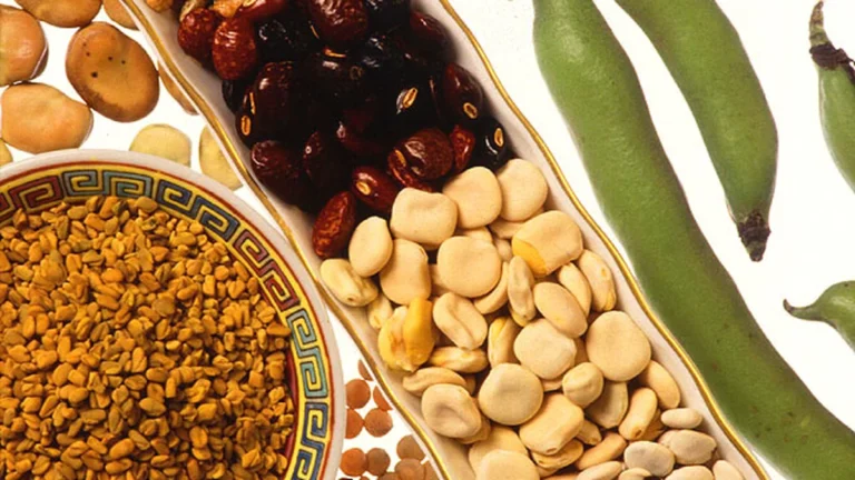 Variedad de legumbres secas de colores, alimento procesado alto en fibra vinculado a menor riesgo de cáncer de colon