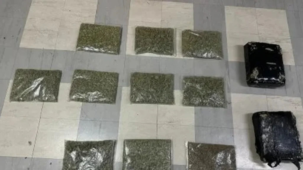 Evidencia de marihuana decomisada y vehículo retenido por la Policía en Ambato