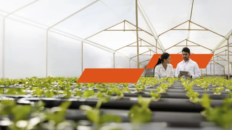 Presentación del informe sobre riesgos climáticos para empresas de PwC