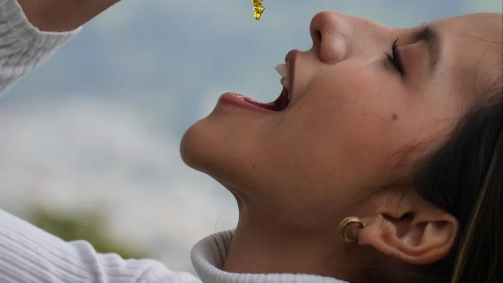 Productos elaborados con cannabis no psicoactivo y cáñamo en Ecuador