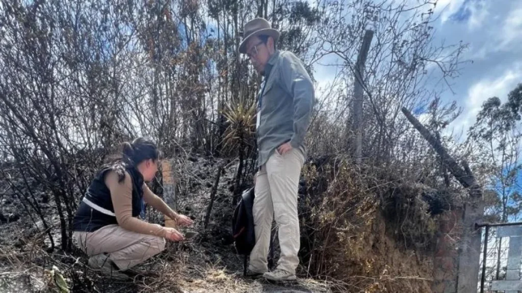 Escalinata de piedra descubierta tras el incendio en el cerro Casitagua