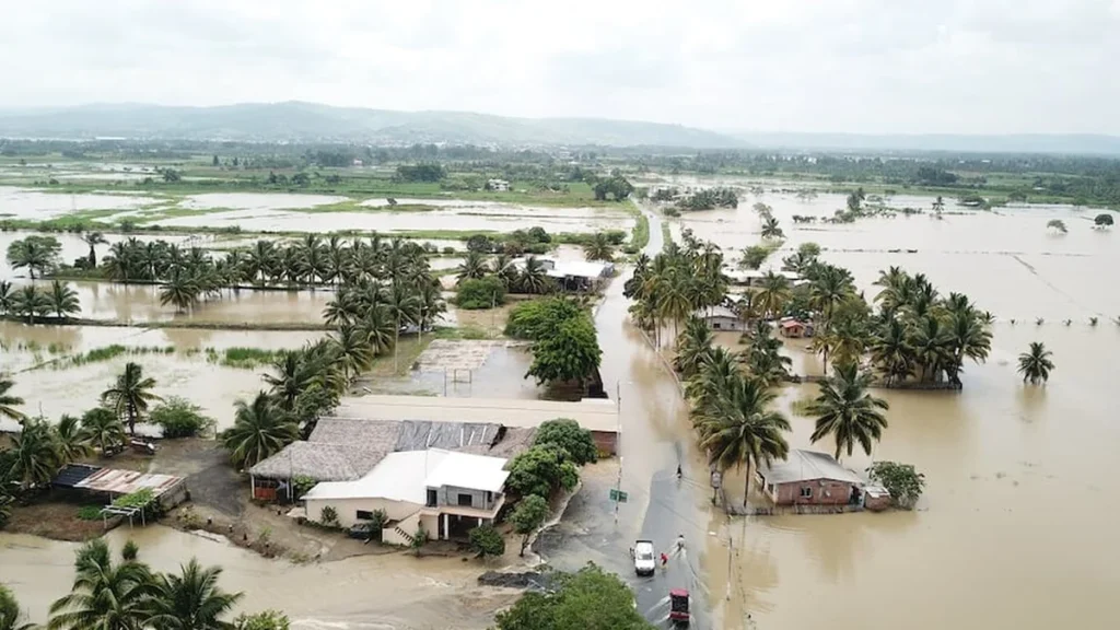 Cultivos y hectáreas agrícolas en Manabí expuestos a riesgos climáticos