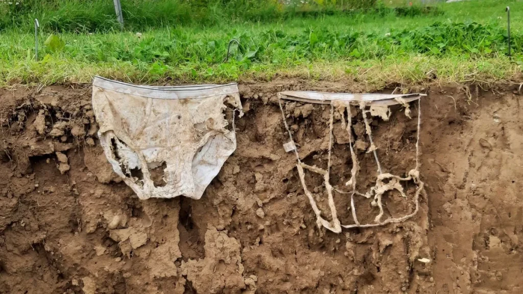 Ropa enterrada para medir el impacto de fertilizante en jardines urbanos