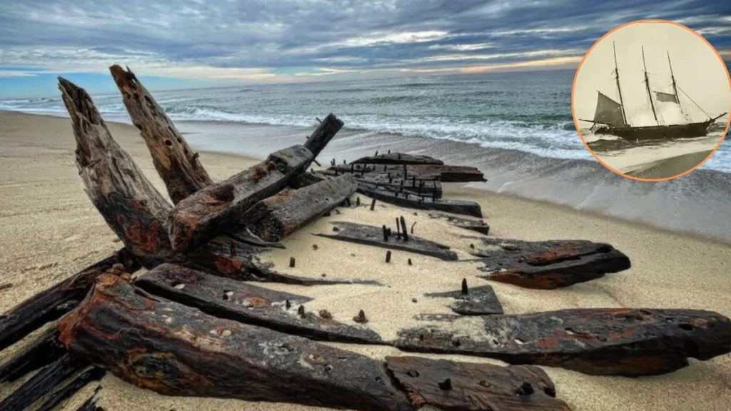 Maderas y vigas de un antiguo naufragio en playa de Massachusetts