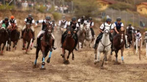 Jinetes y caballos en competencia durante la tradicional Caceria del Zorro en Imbabura