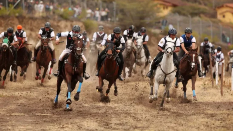 Jinetes y caballos en competencia durante la tradicional Caceria del Zorro en Imbabura