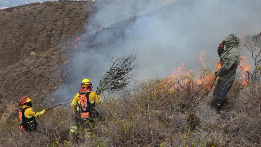 Efectivos de rescate combaten el fuego forestal en Pusuquí Quito