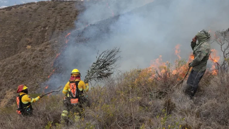 Efectivos de rescate combaten el fuego forestal en Pusuquí Quito