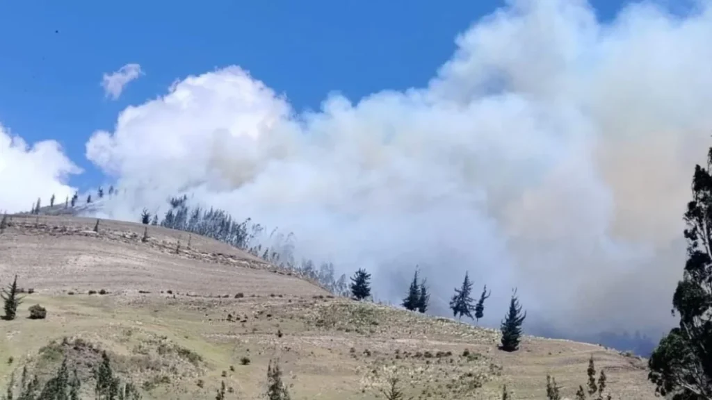 Incendio forestal en Chimborazo