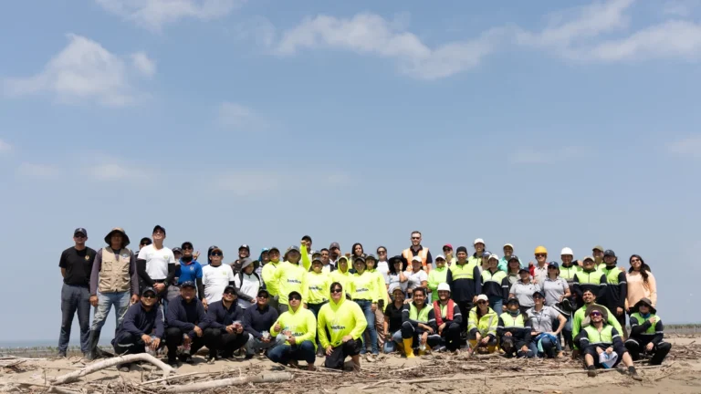 Playa del litoral ecuatoriano con arena y oleaje
