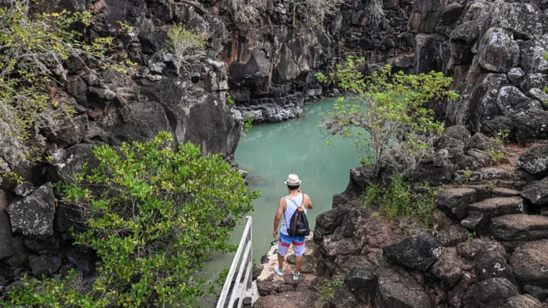 Visitantes recorriendo senderos delimitados en áreas protegidas de Galápagos
