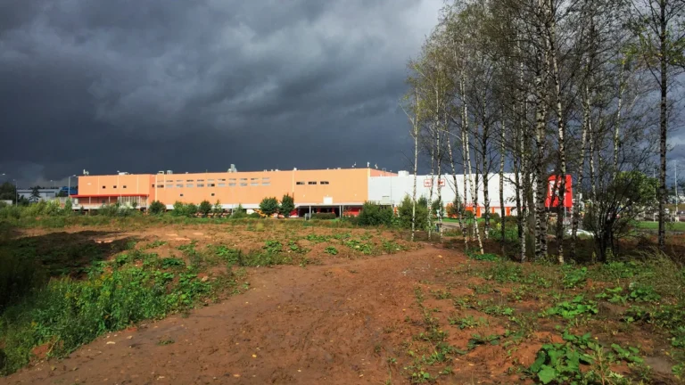 Tienda de la cadena Auchan en la región de Moscú