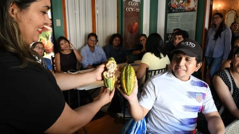 Adultos mayores participando en sesión de cacaoterapia en Guayaquil