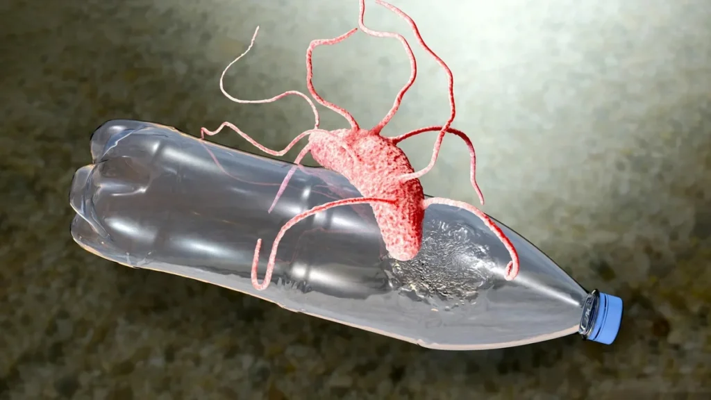Microfotografía electrónica de bacterias Ideonella sakaiensis degradando una superficie plástica