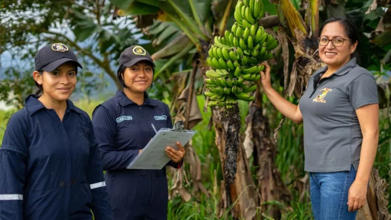 Jóvenes estudiantes y bachilleres agropecuarios en práctica