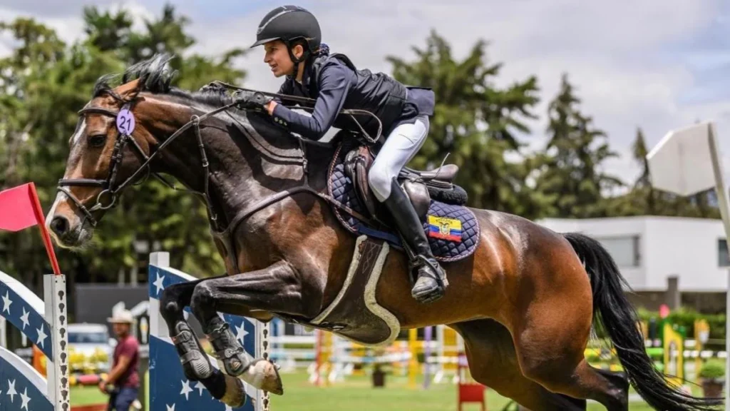 Salto de obstáculo en pista de equitación durante entrenamiento de salto ecuestre