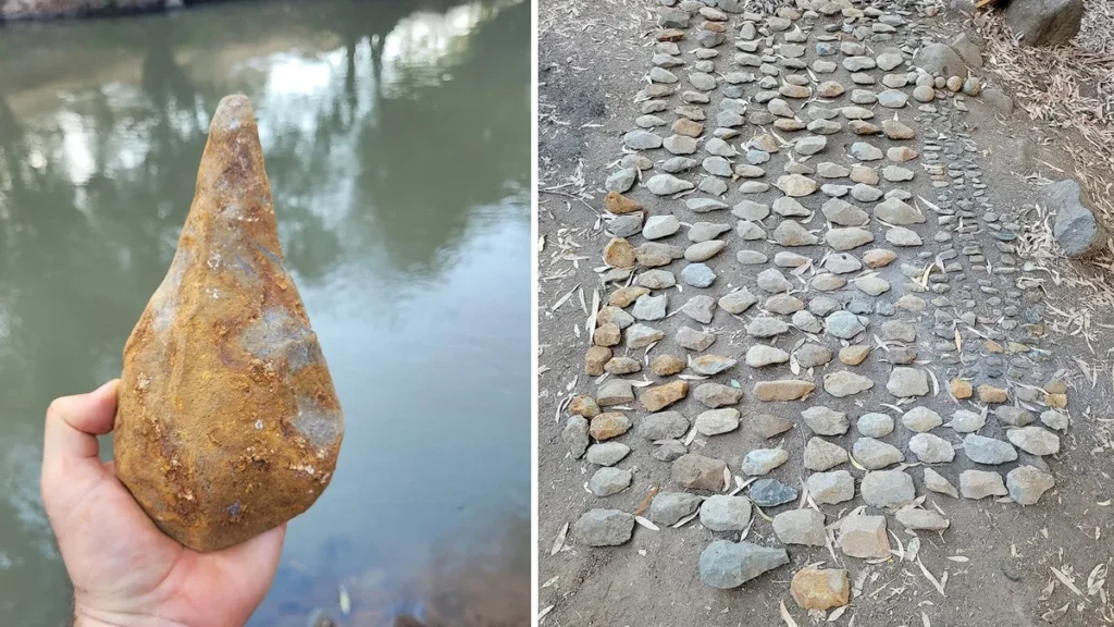 Paleontologos examinan un fosil de elefante en Java