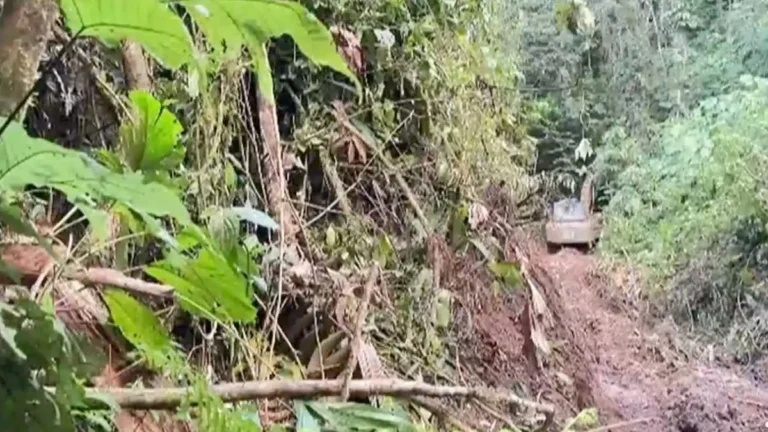 Efectivos militares inspeccionan maquinaria pesada en zona selvática durante operativo
