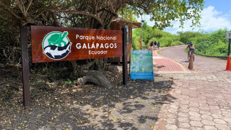 Iguana marina en las costas rocosas del archipiélago de Galápagos