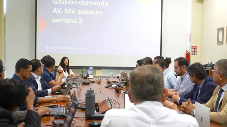 Líneas de transmisión eléctrica y planta industrial bajo racionamientos de energía