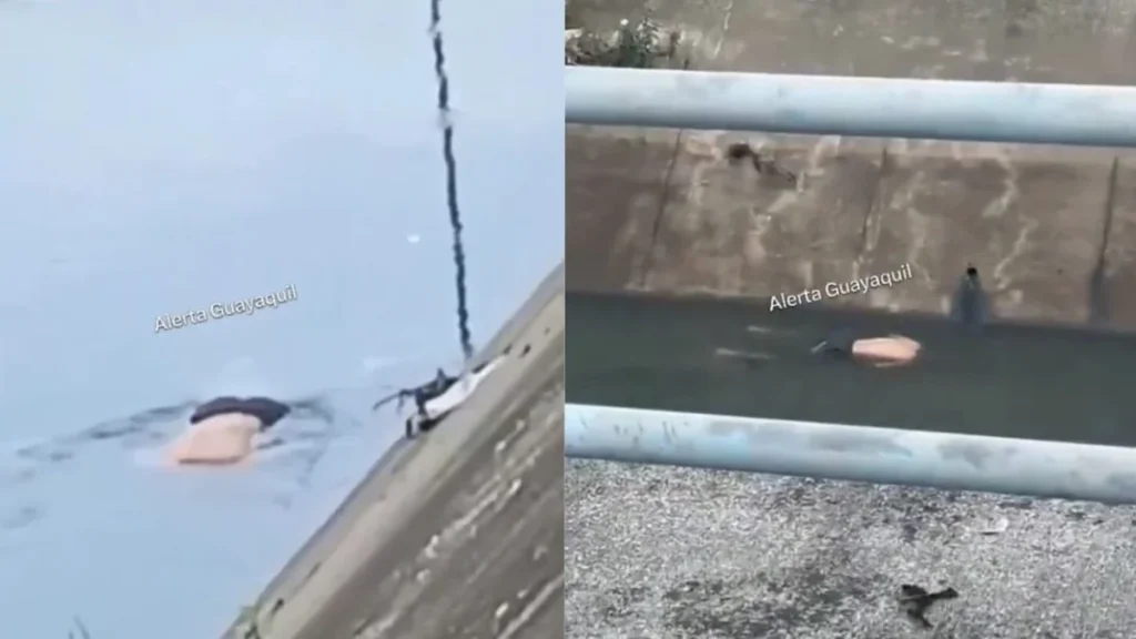 Hallazgo de un cuerpo sin vida en una zanja en Mucho Lote