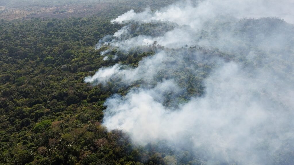 Imágenes de la NASA revelan el avance devastador de incendios en la Amazonía