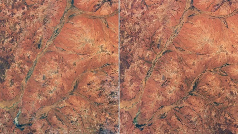 Vista aerea de floracion masiva en el desierto arido de Australia