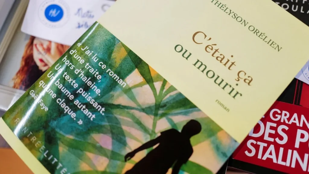 Libro de novela francesa y concepto de creación literaria digital