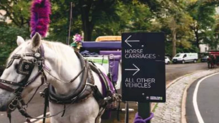 Carruajes tirados por caballos en Central Park serán prohibidos en Nueva York