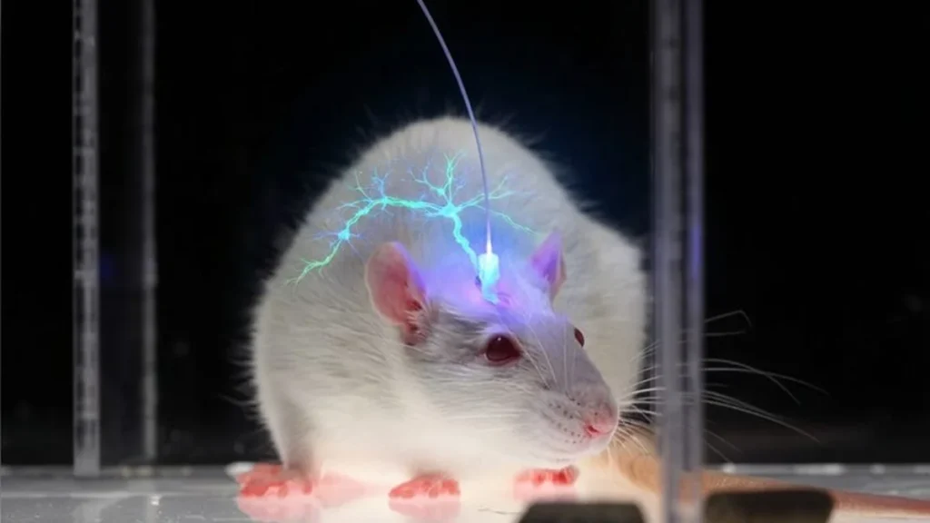 Representación computarizada de una red neuronal estimulada mediante luz láser