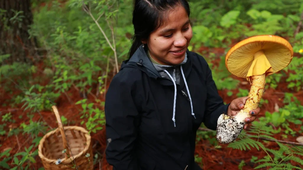 Iniciativas comunitarias que integran proyectos sostenibles