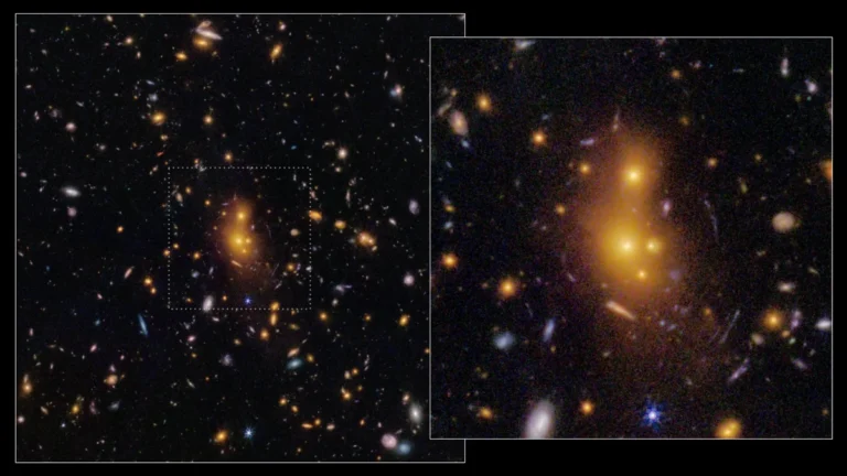 Cúmulo de galaxias masivo captado en el infrarrojo por el Telescopio Espacial James Webb